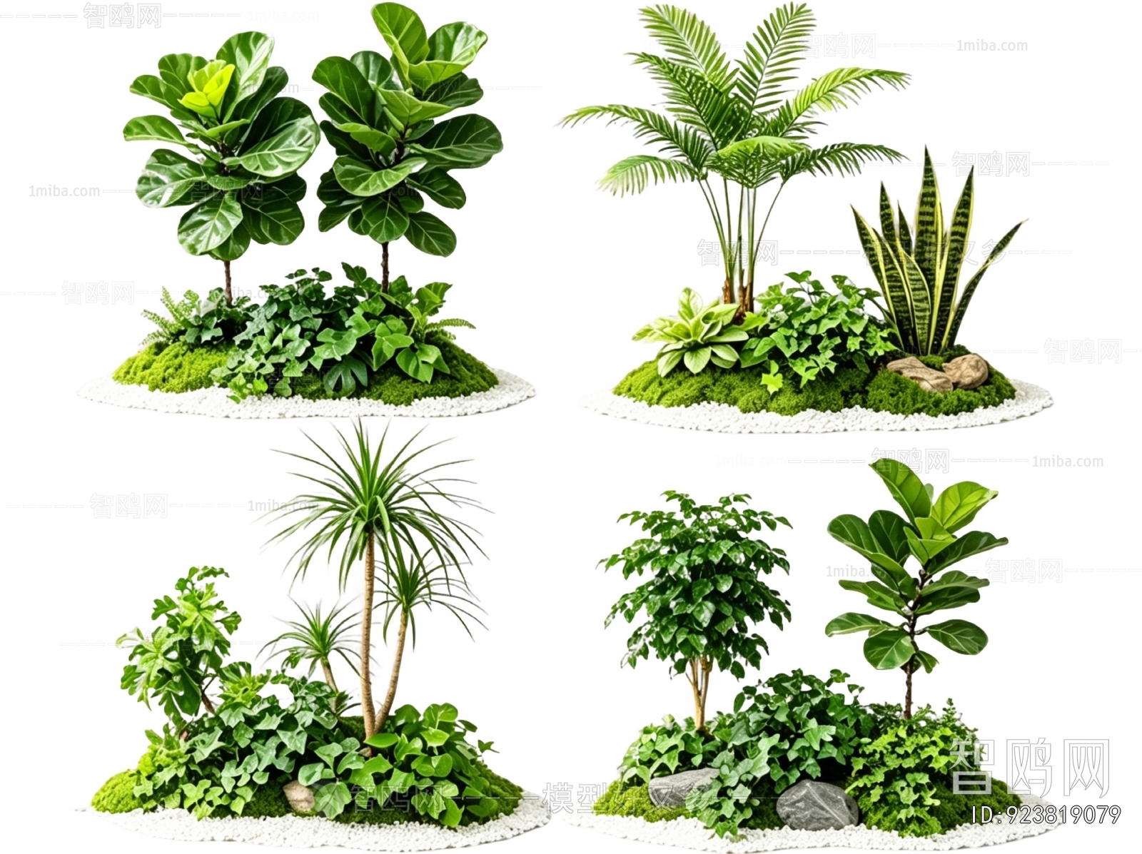 Modern Plant Landscaping