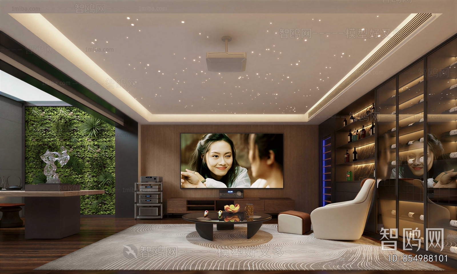 Modern Audiovisual Room
