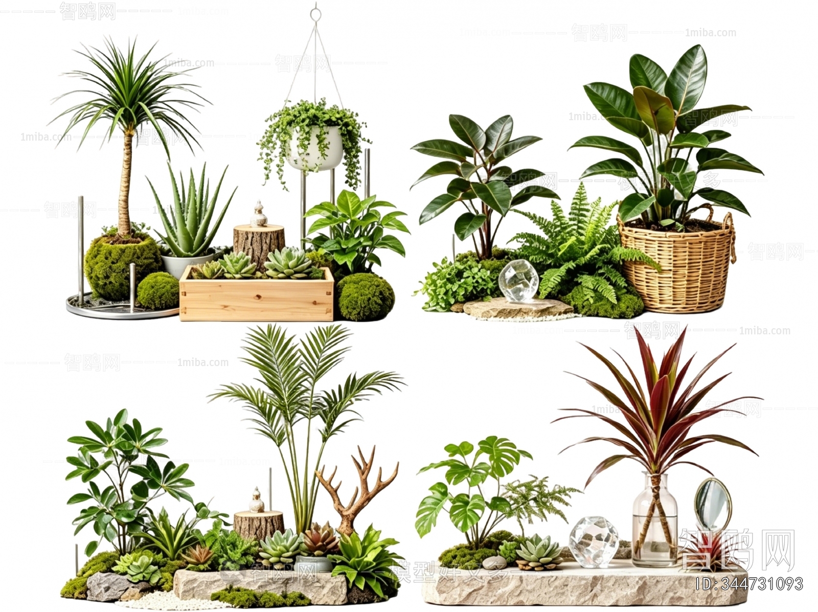 Modern Plant Landscaping