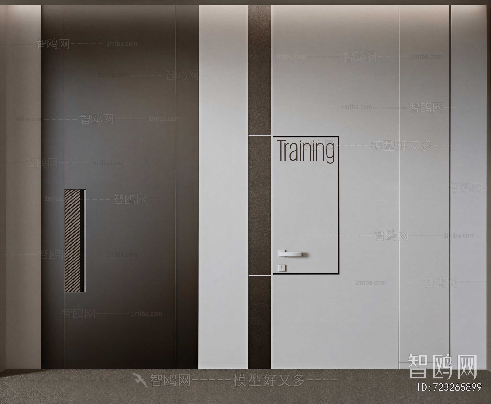 Modern Door