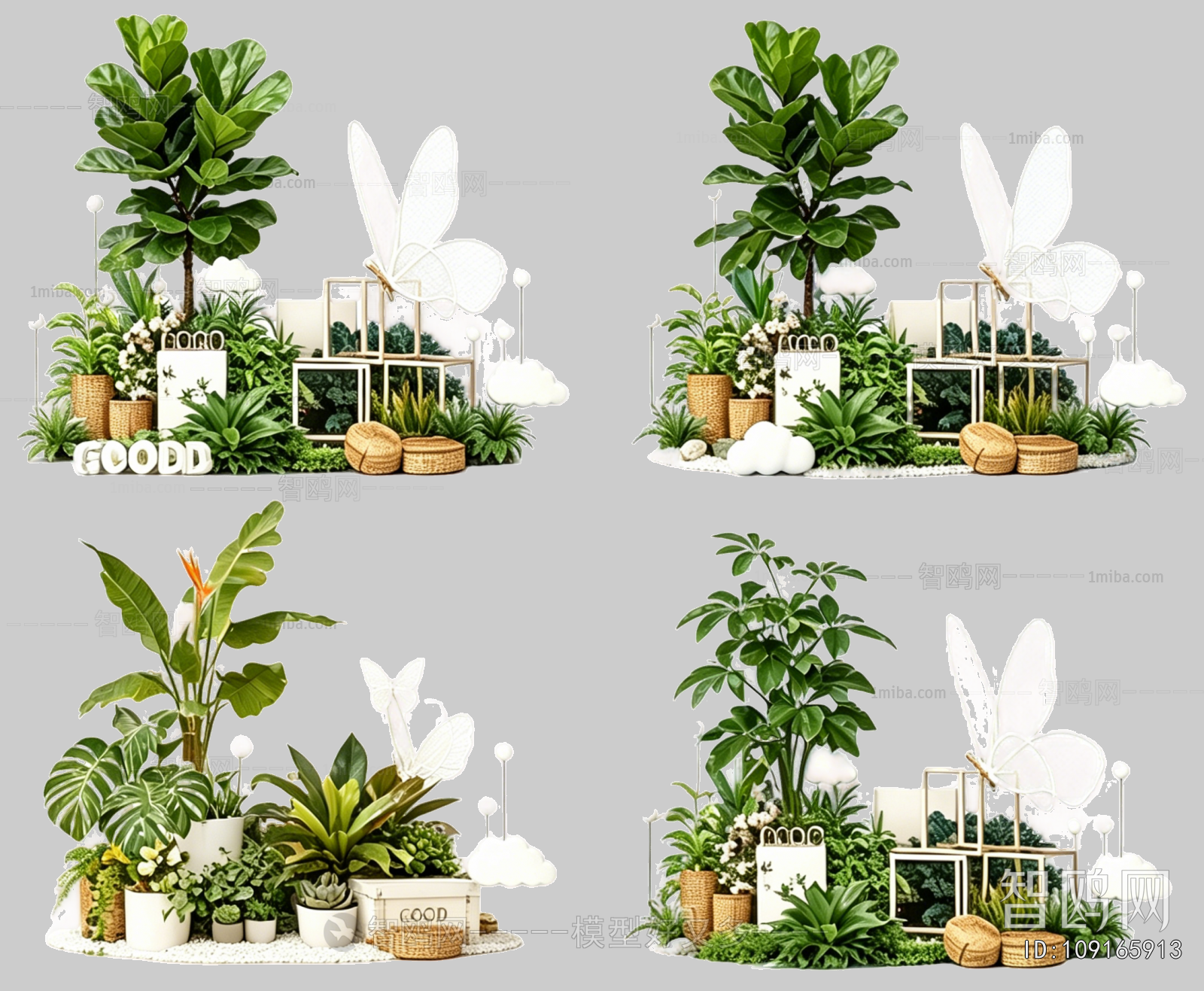 Plant Leaves