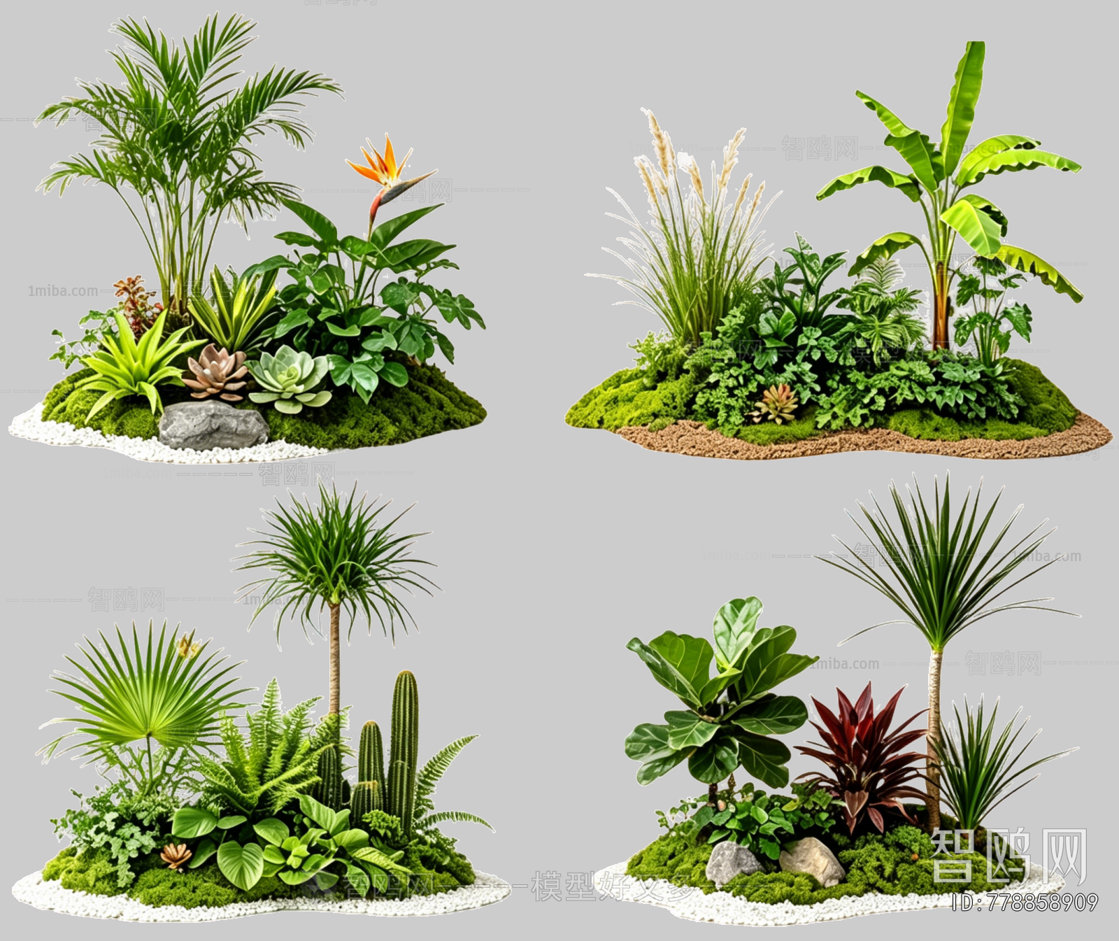 Plant Leaves