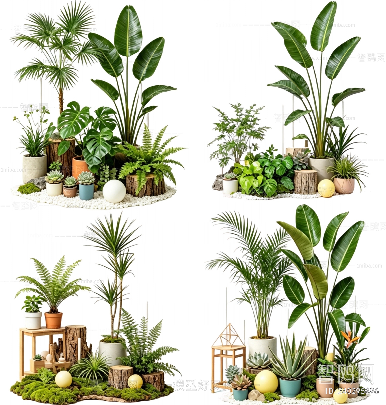 Modern Plant Landscaping