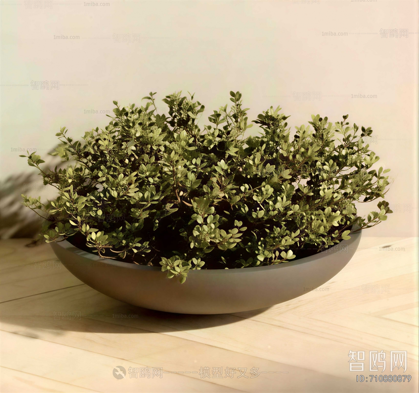 Modern Potted Green Plant