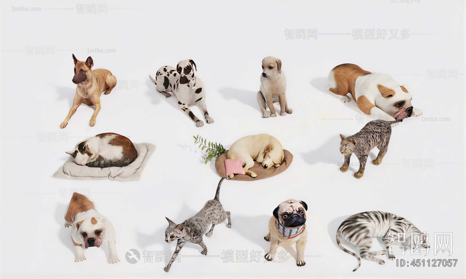 Modern Animal Dog