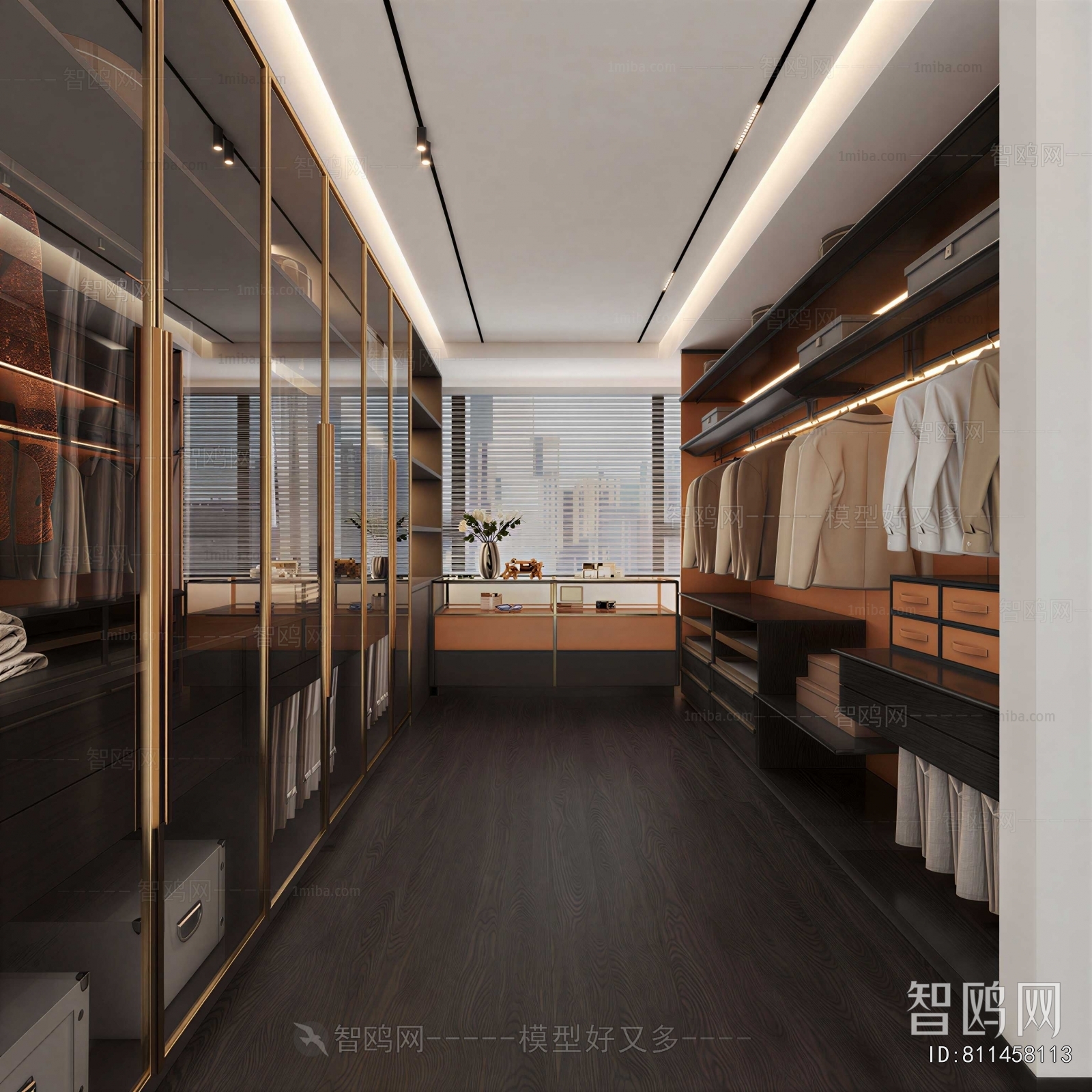 Modern Clothes Storage Area