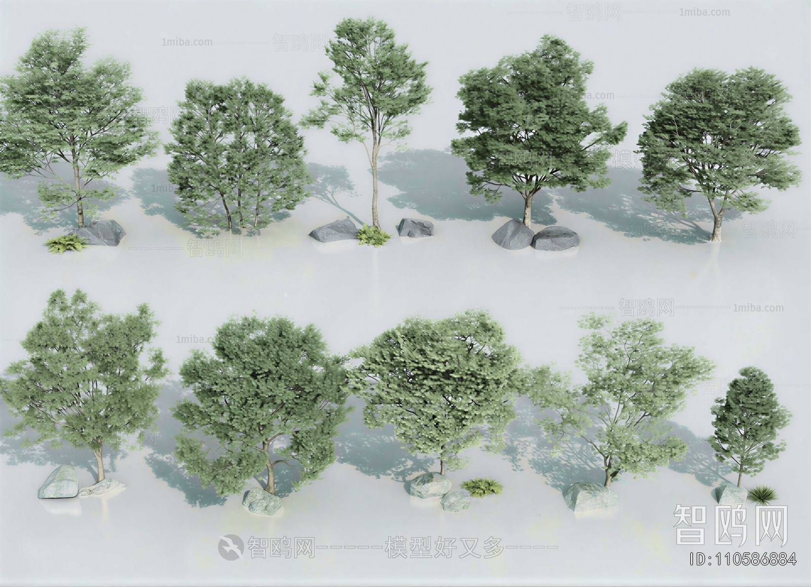Modern Tree