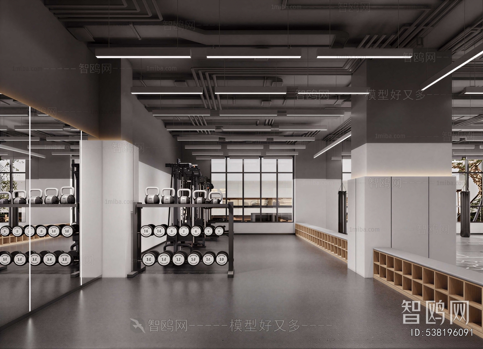 Modern Gym