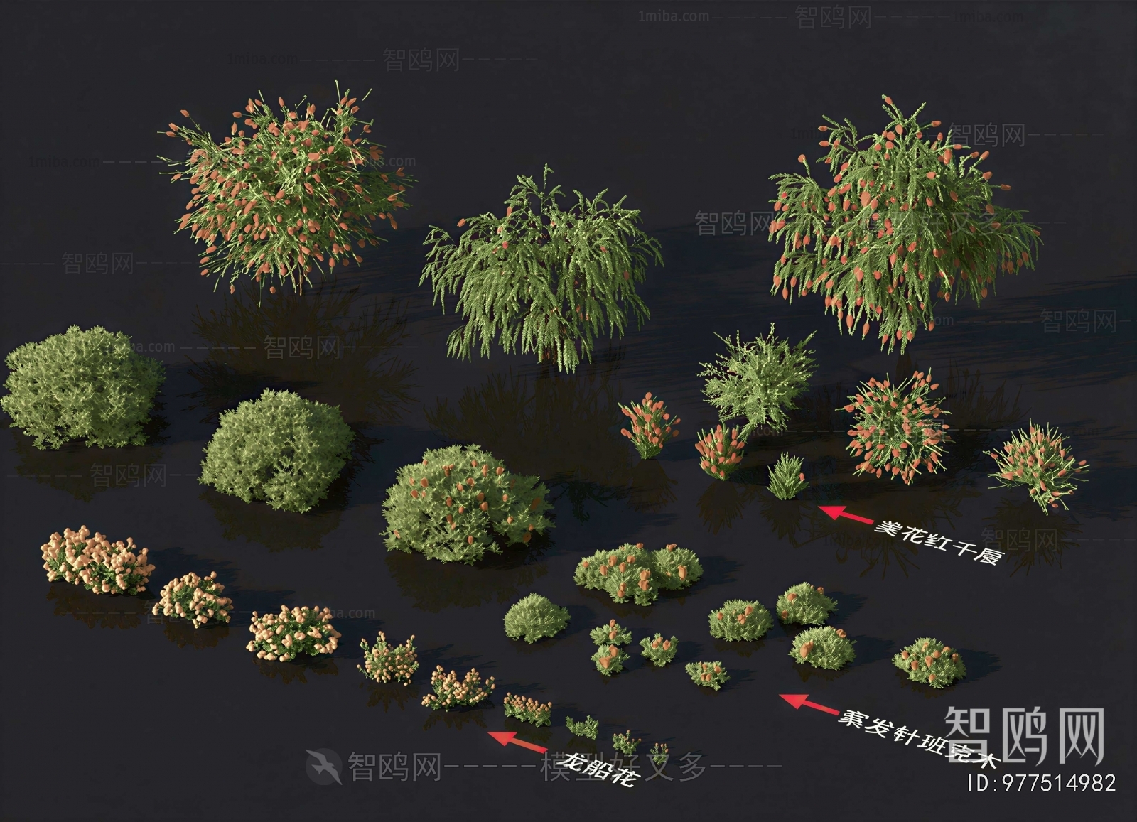 Modern Shrubbery