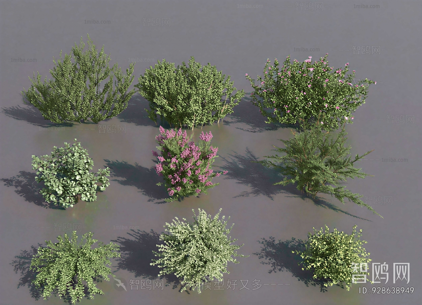 Modern Shrubbery