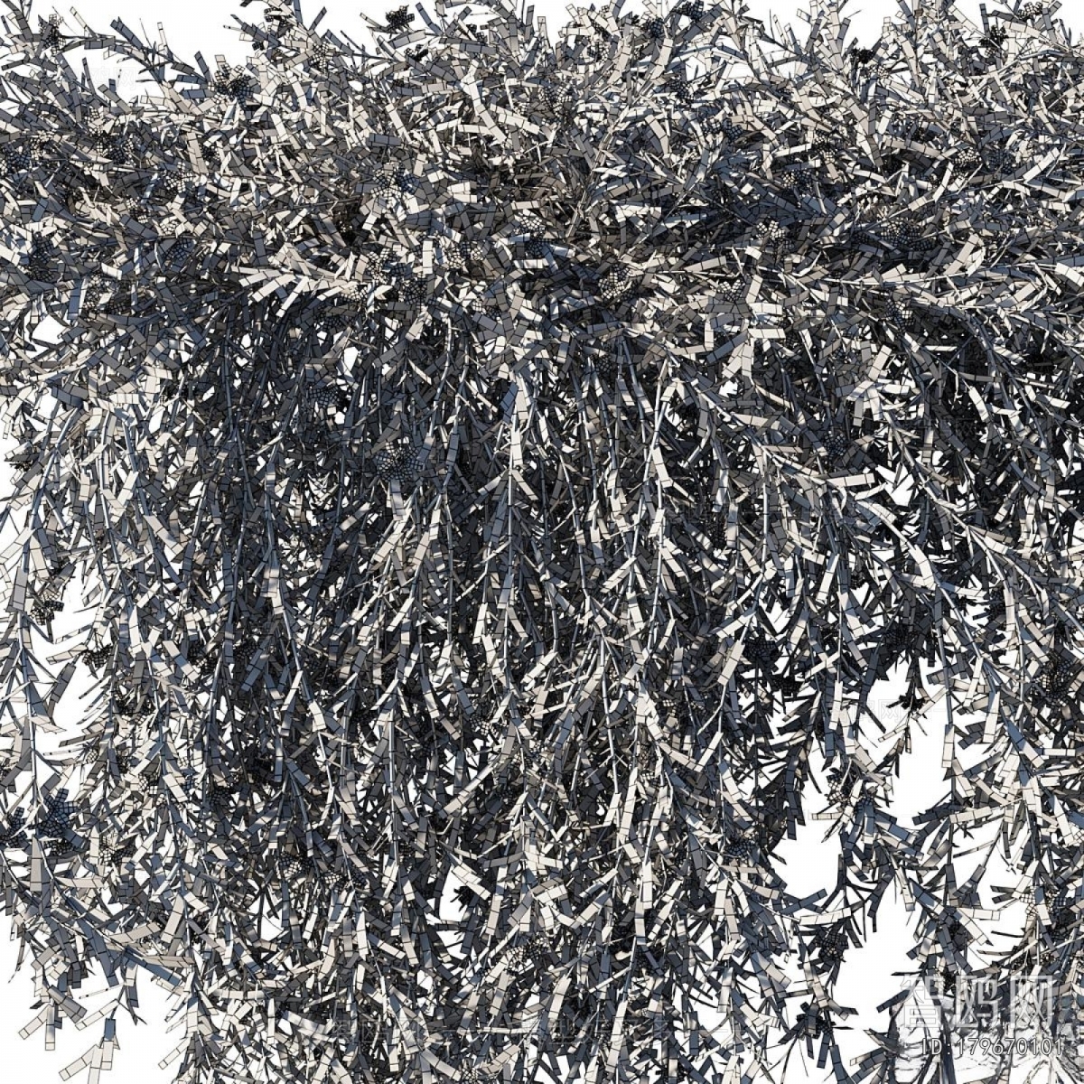 Modern Vine