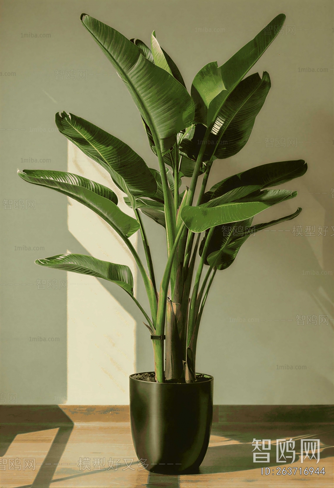 Modern Ground Green Plant Potted Plants