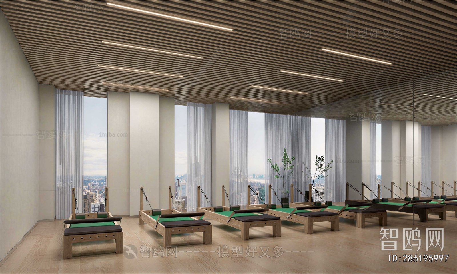 Modern Gym