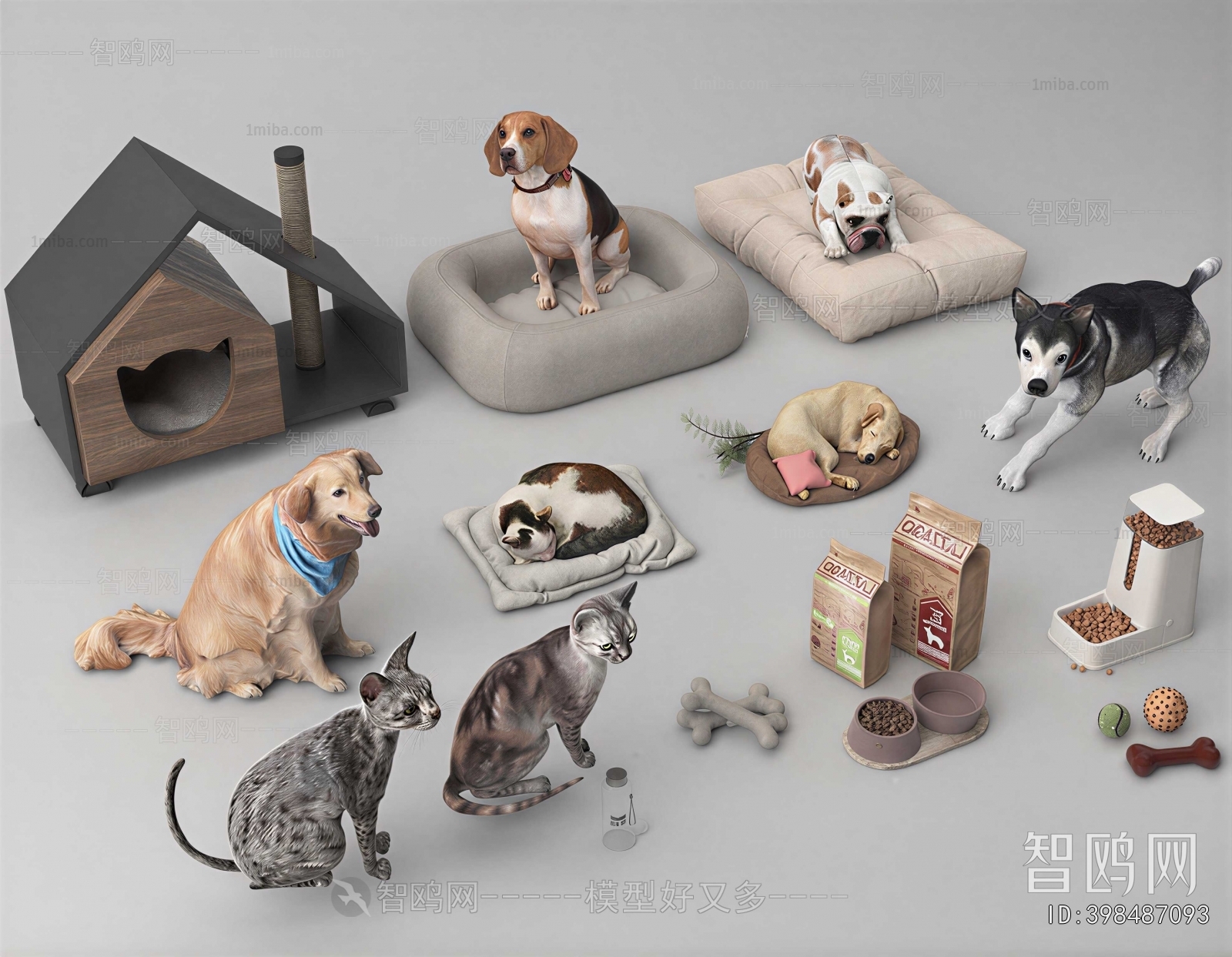 Modern Animal Dog