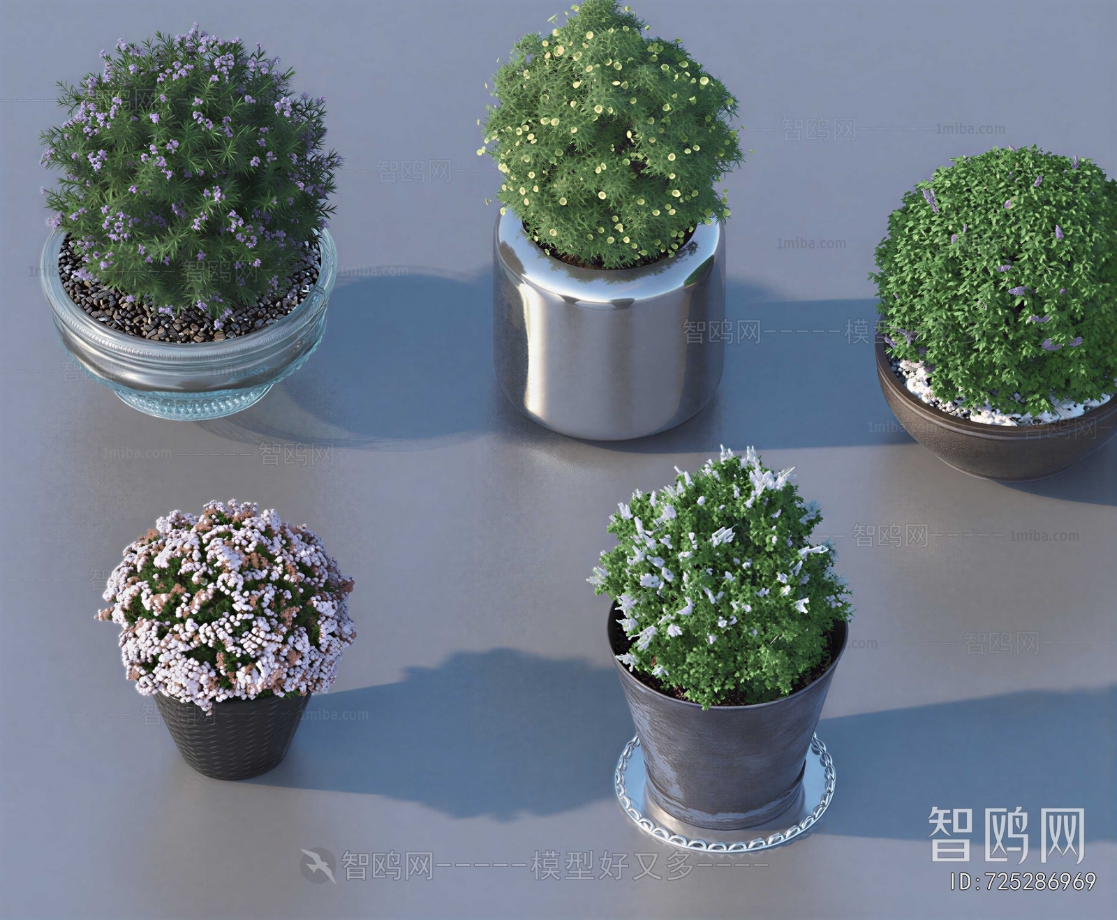 Modern Ground Green Plant Potted Plants