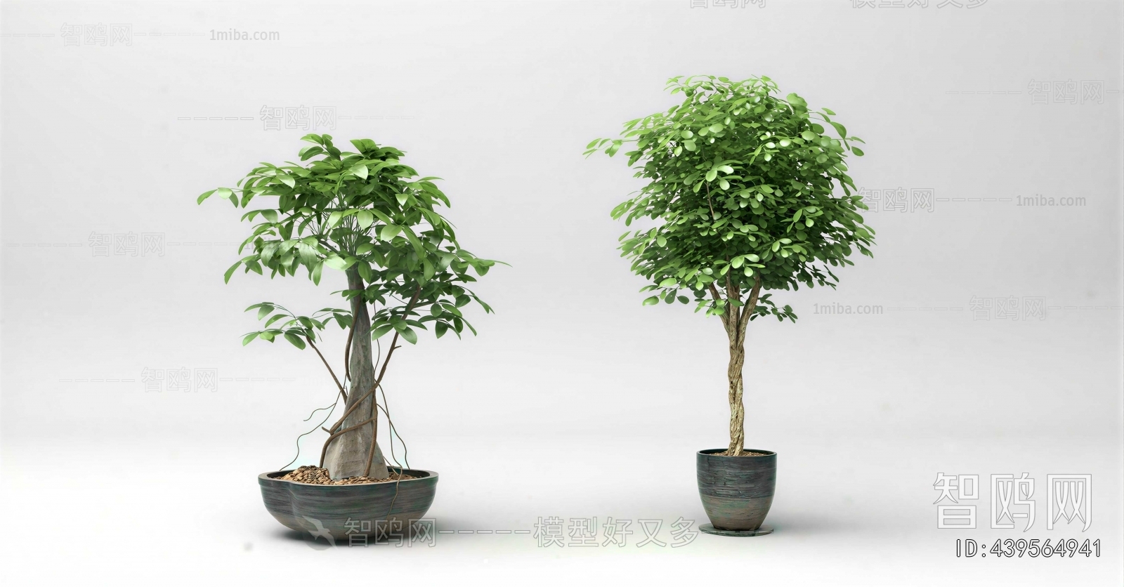 Modern Ground Green Plant Potted Plants