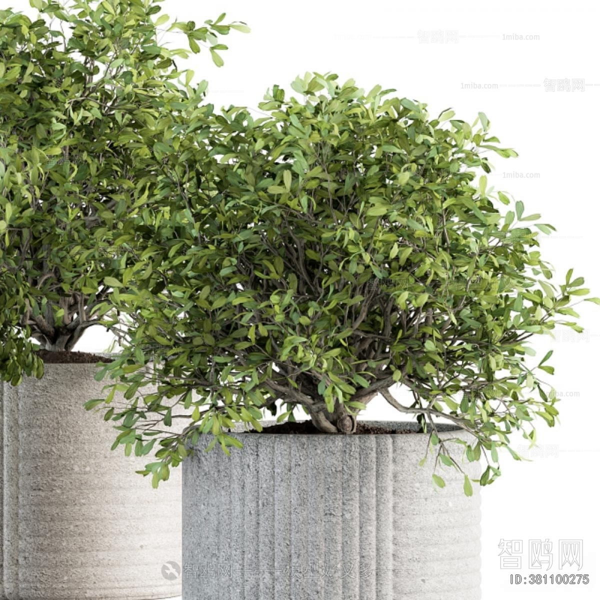 Modern Ground Green Plant Potted Plants