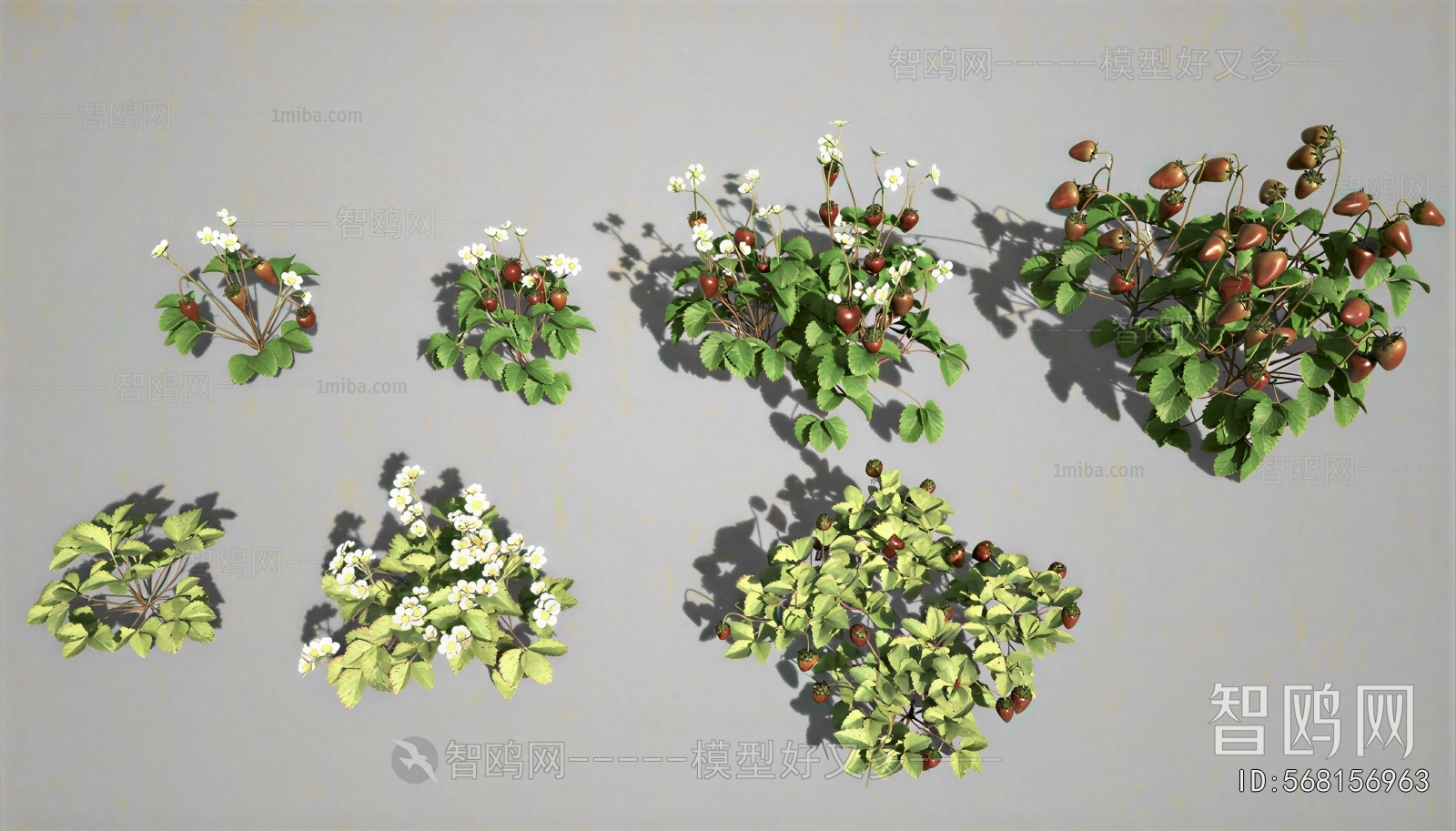 Modern Shrubbery