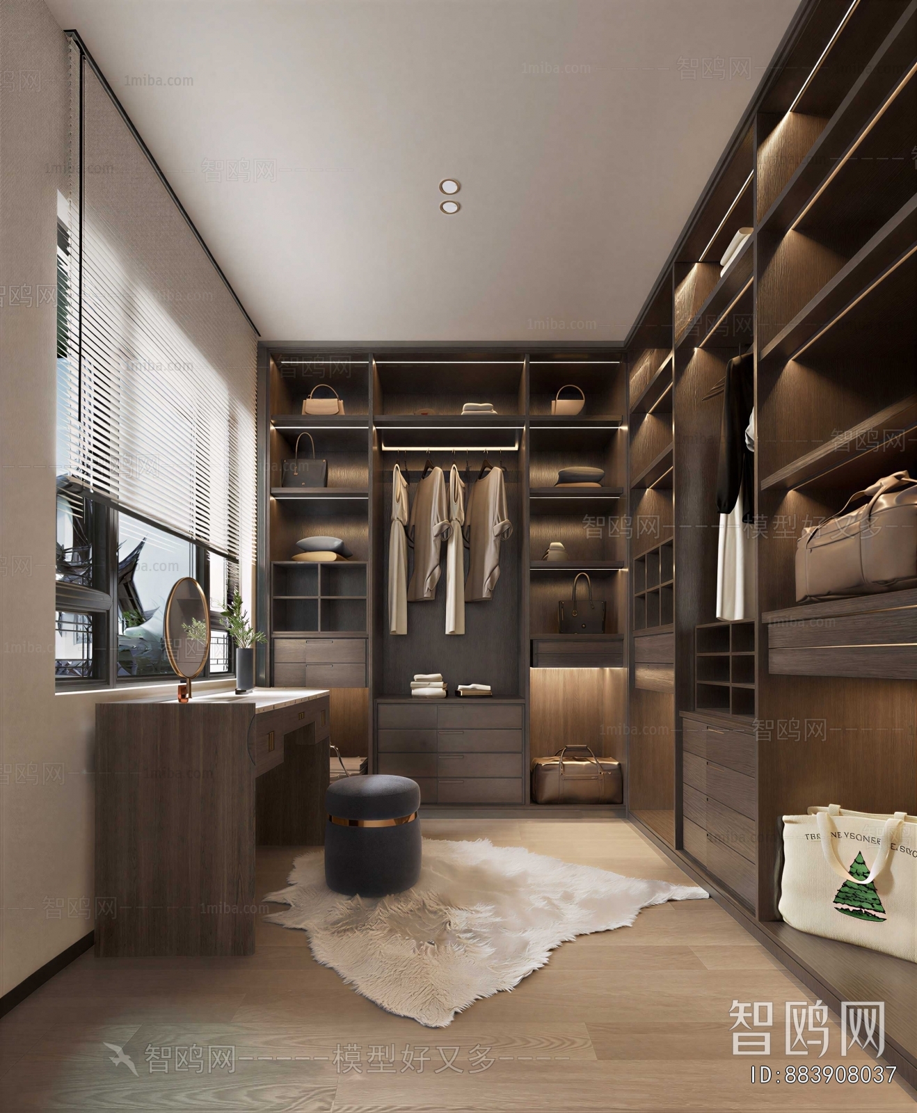 Modern Clothes Storage Area