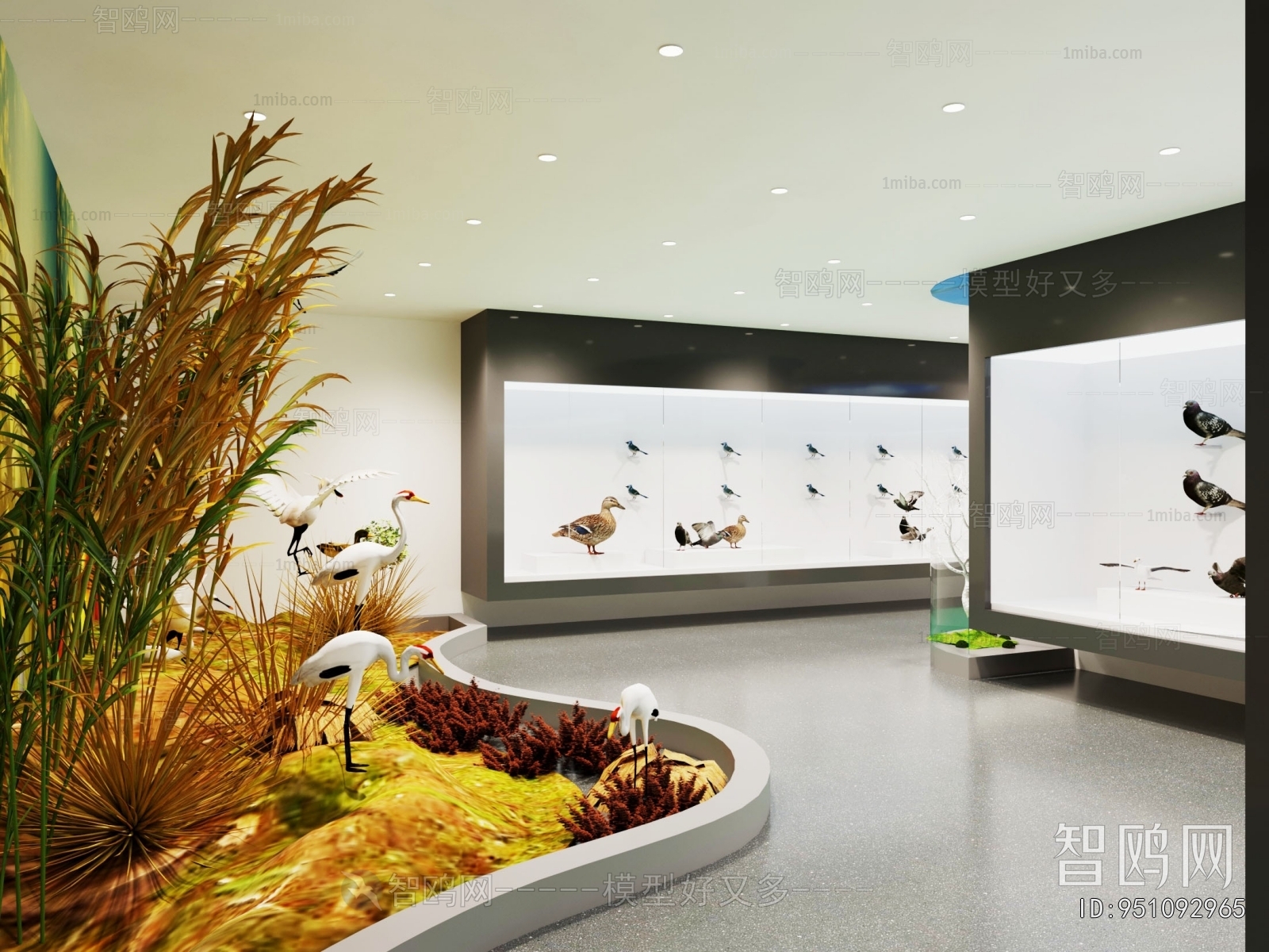 Modern Exhibition Hall