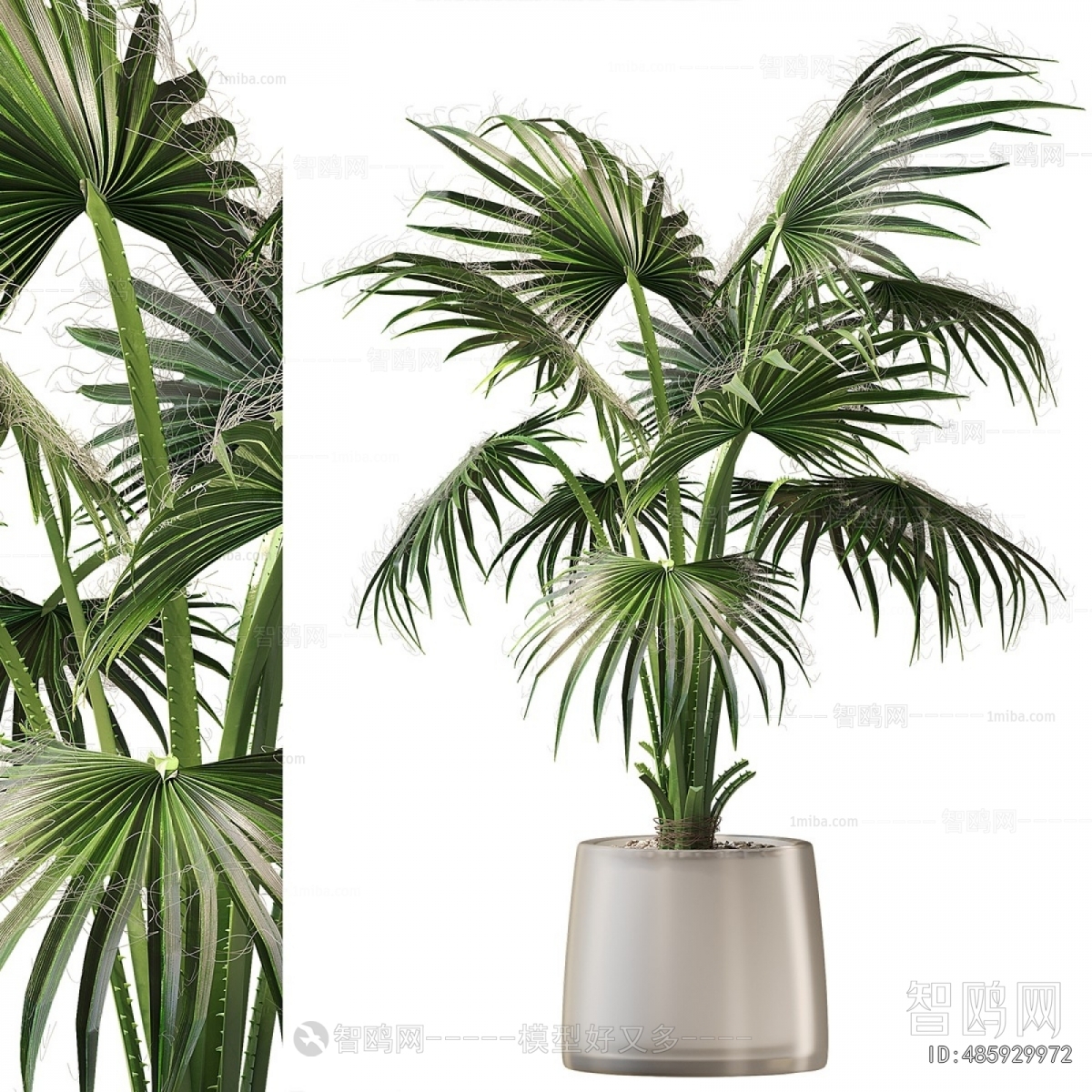 Modern Ground Green Plant Potted Plants