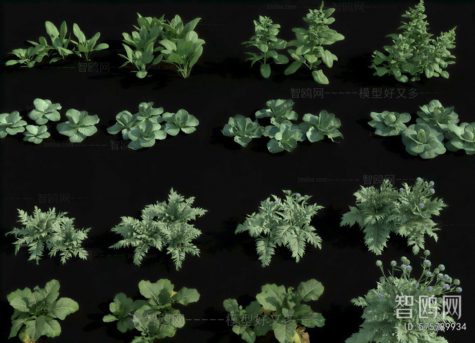 Modern Crop