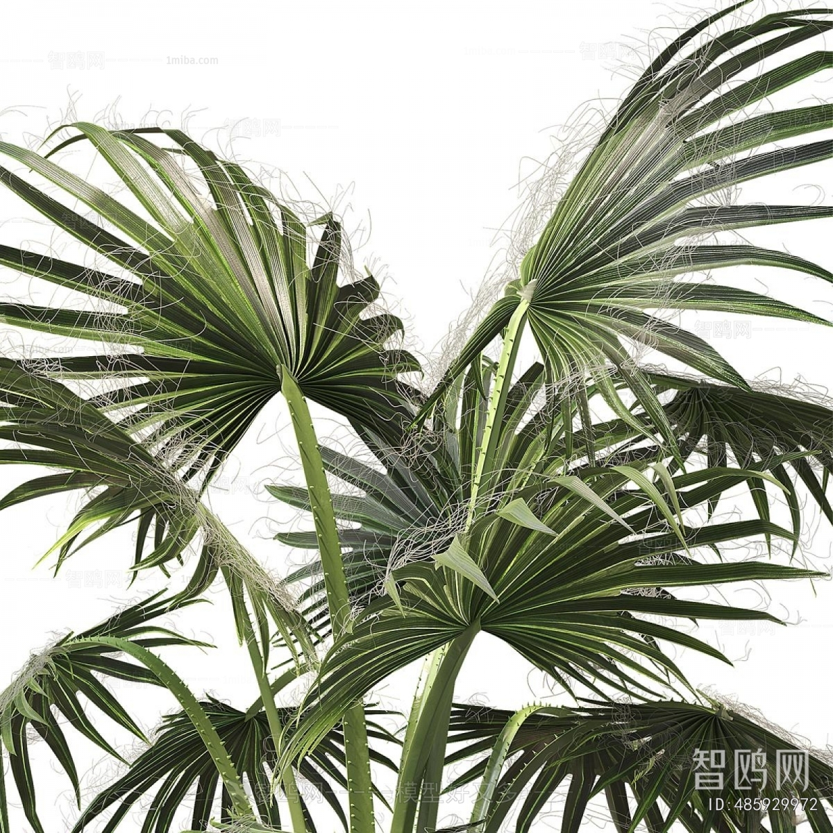 Modern Ground Green Plant Potted Plants