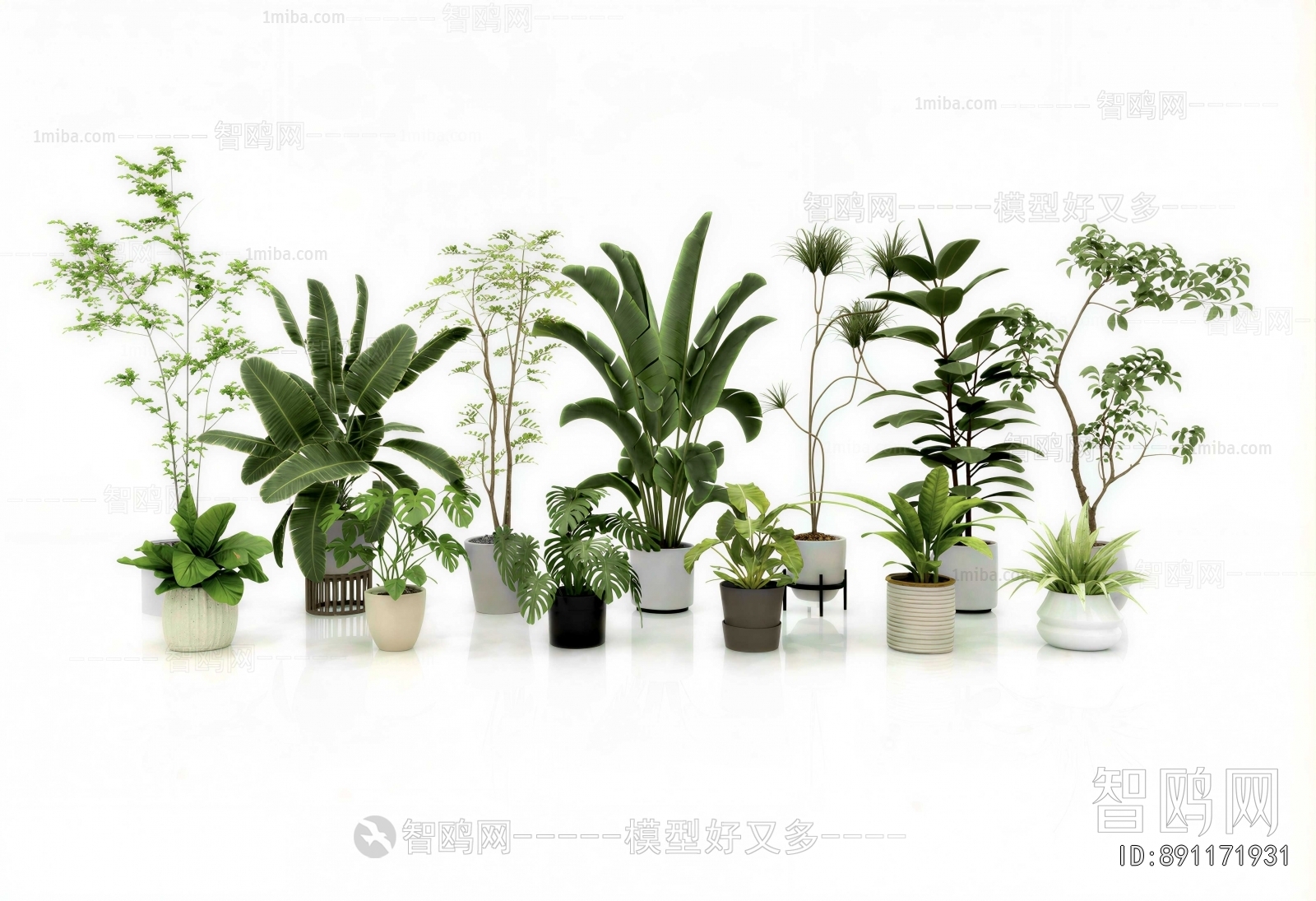 Modern Ground Green Plant Potted Plants
