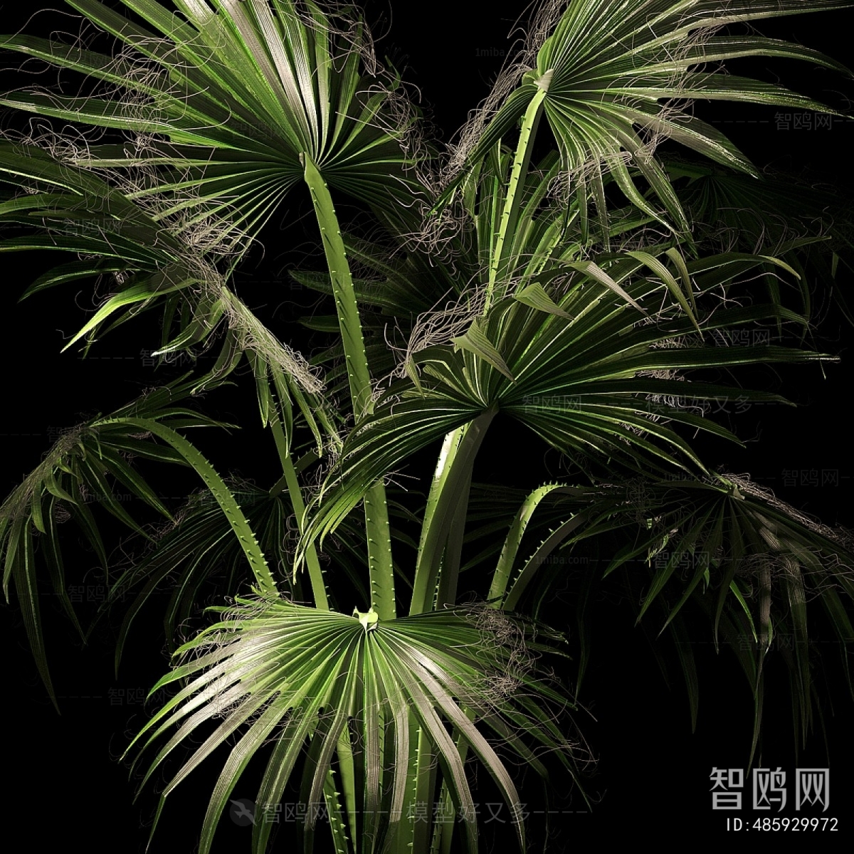 Modern Ground Green Plant Potted Plants