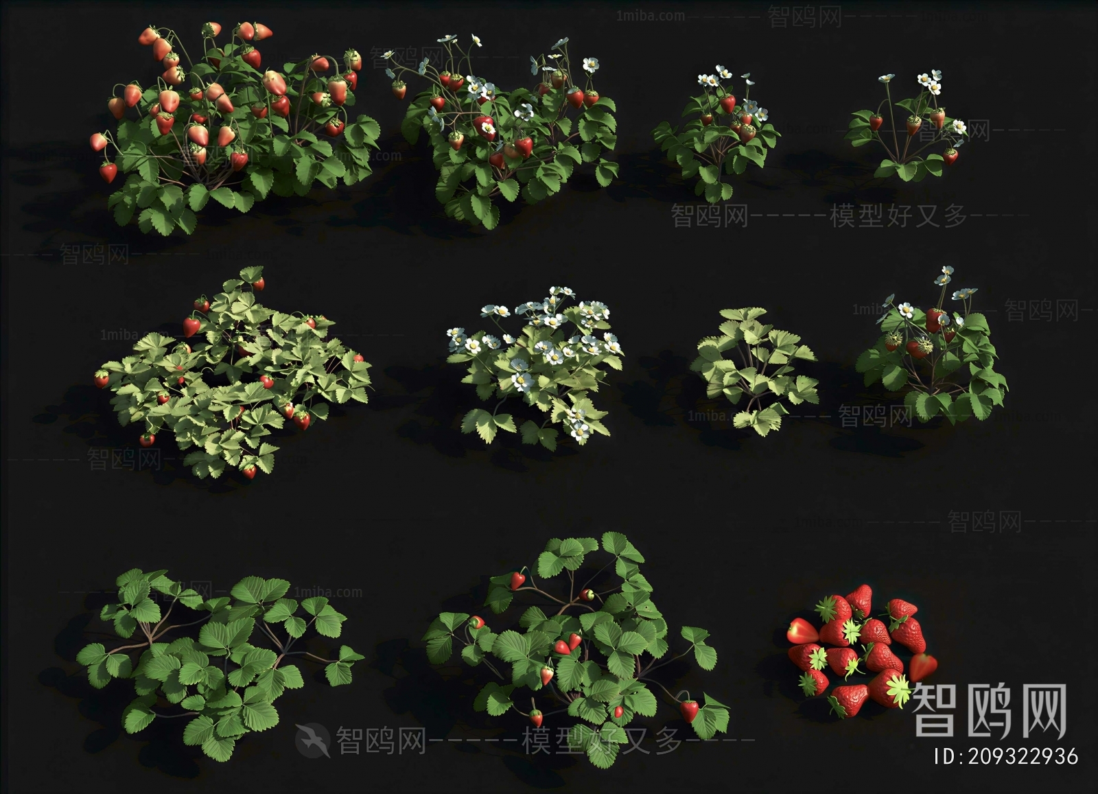 Modern Fruit