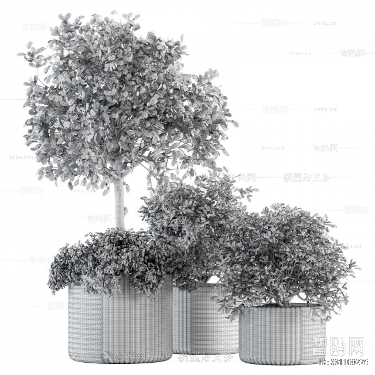Modern Ground Green Plant Potted Plants