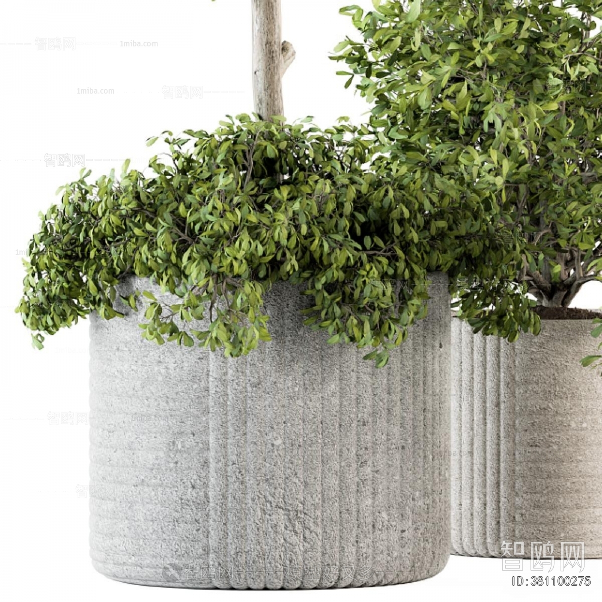 Modern Ground Green Plant Potted Plants