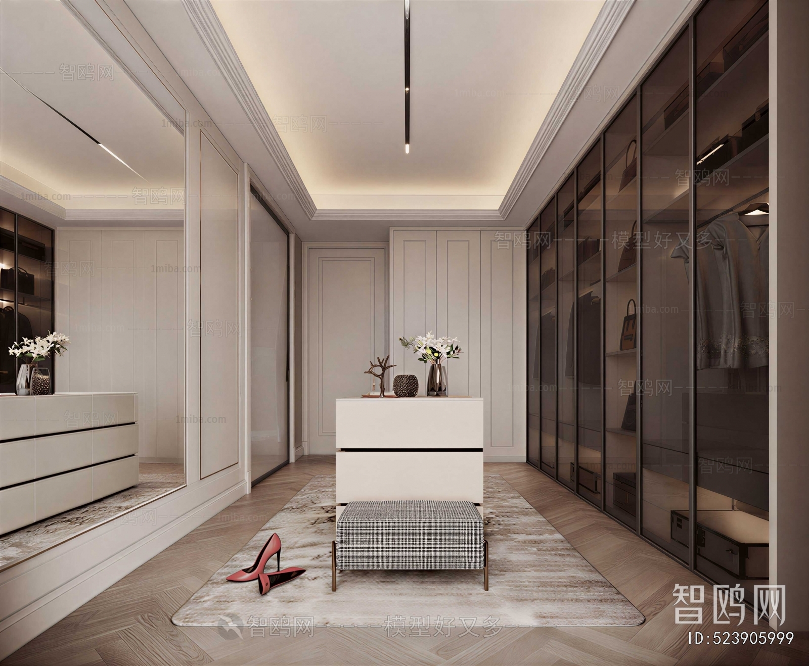 Modern Clothes Storage Area