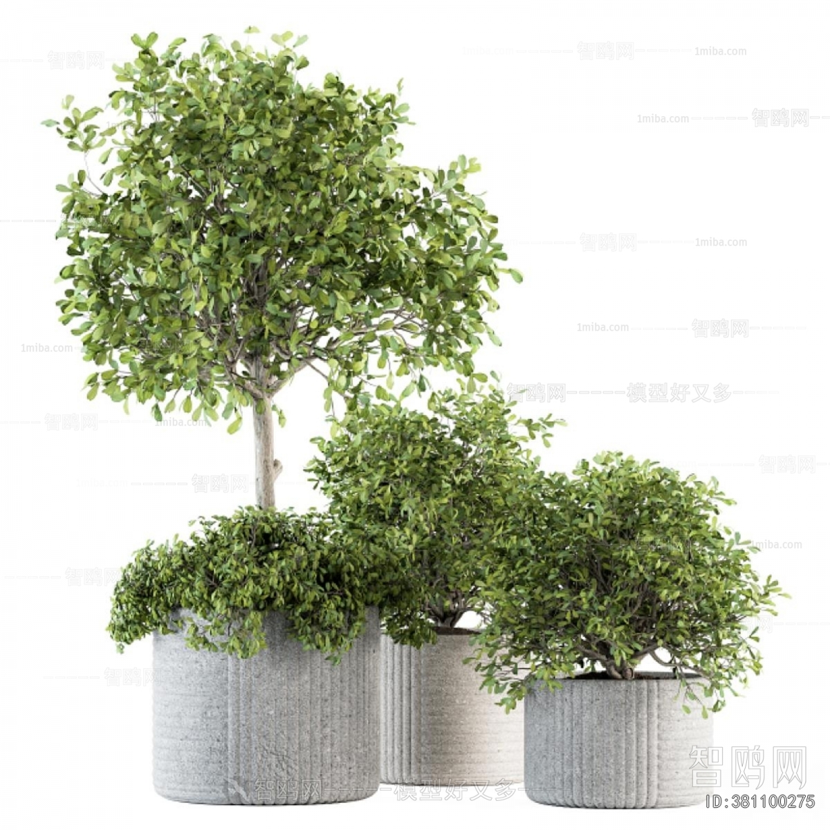 Modern Ground Green Plant Potted Plants