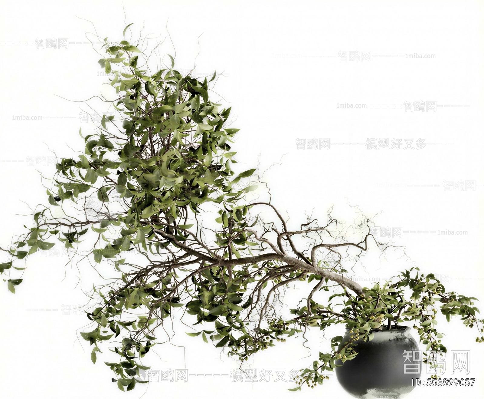 Modern Potted Green Plant