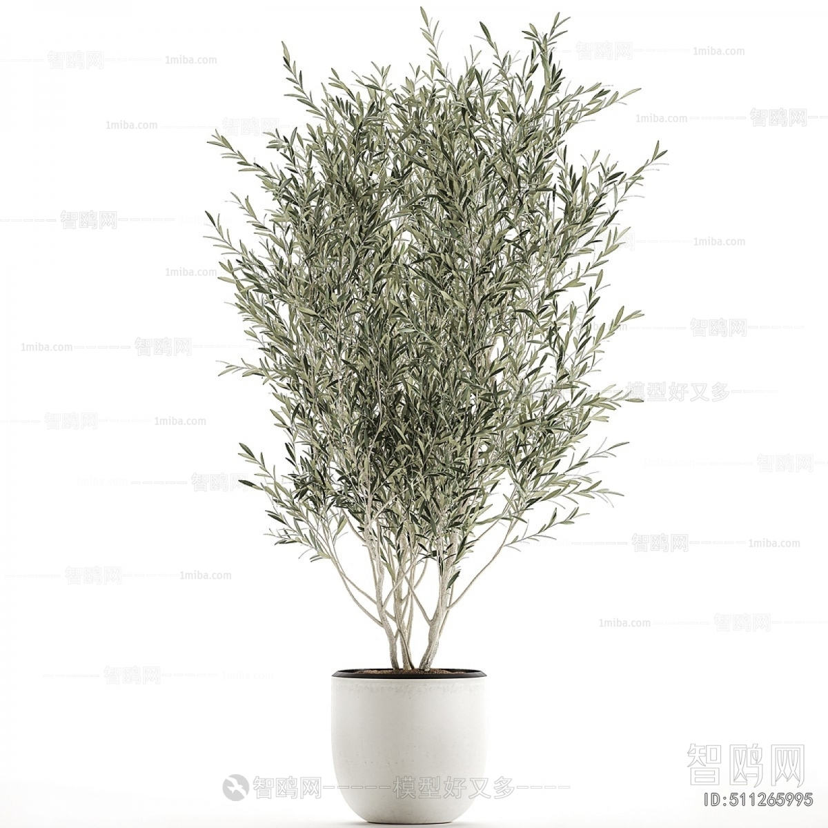 Modern Ground Green Plant Potted Plants