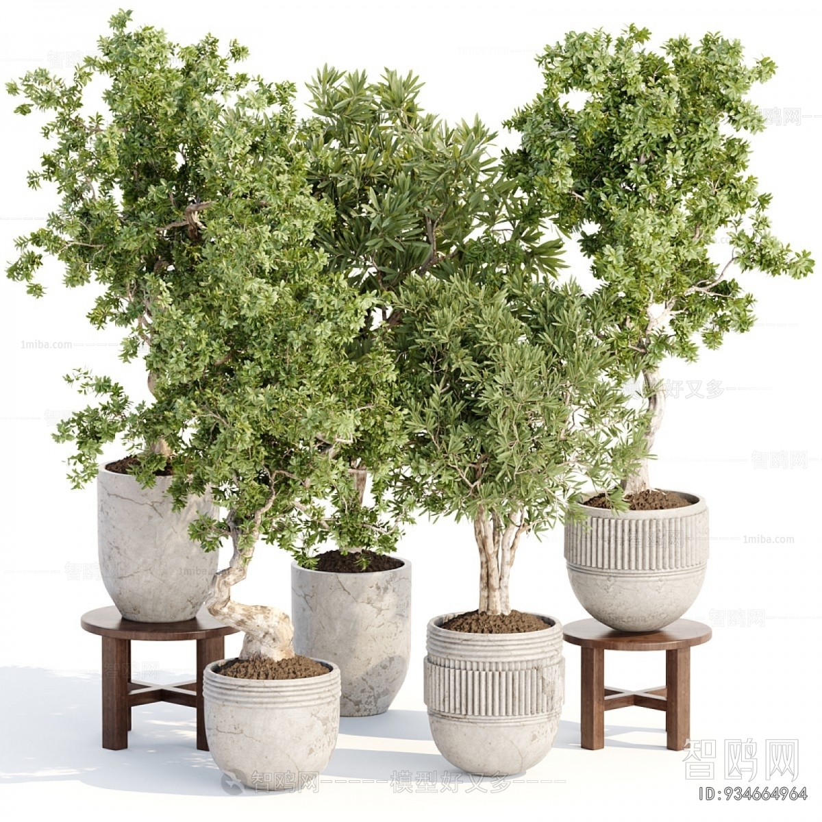 Modern Ground Green Plant Potted Plants
