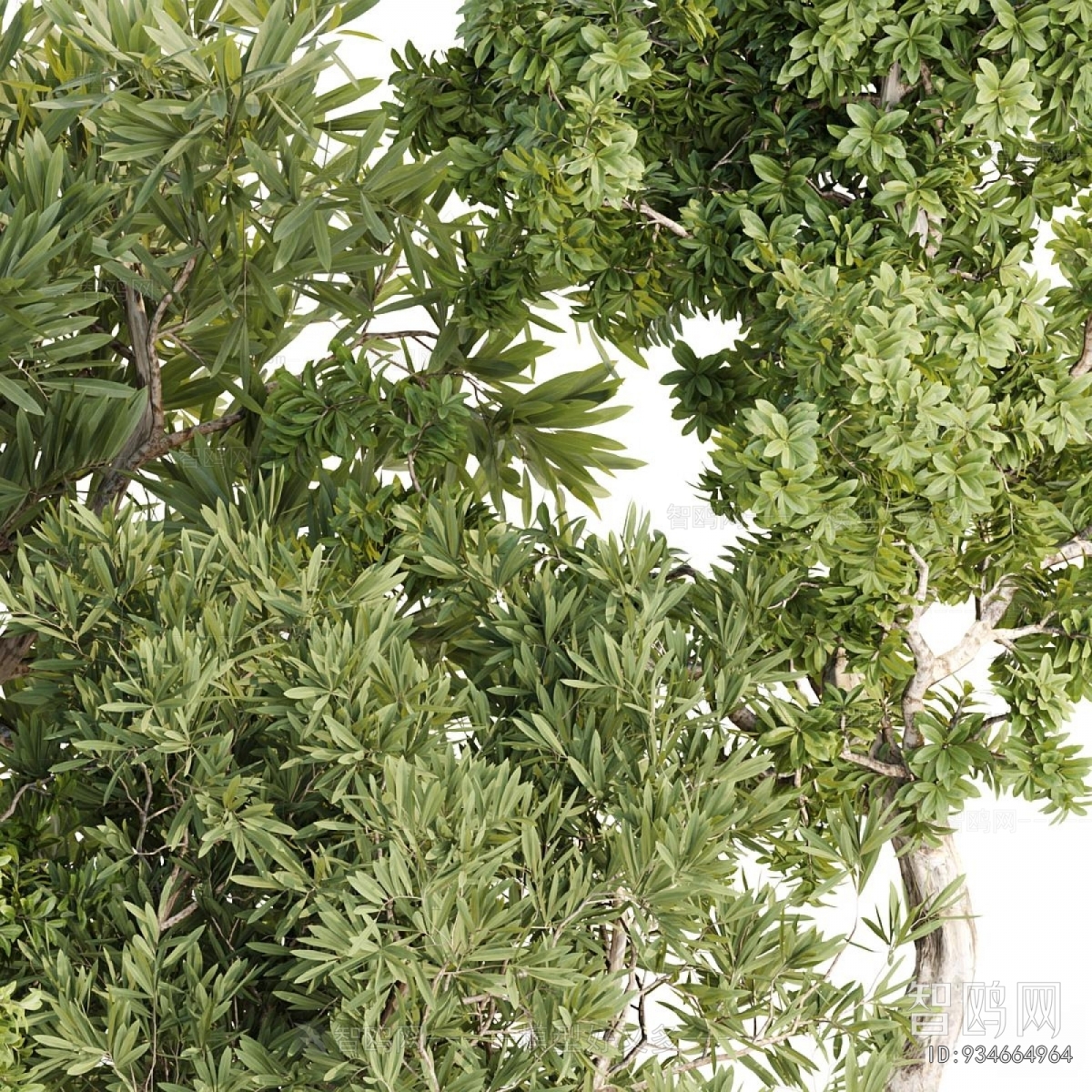 Modern Ground Green Plant Potted Plants