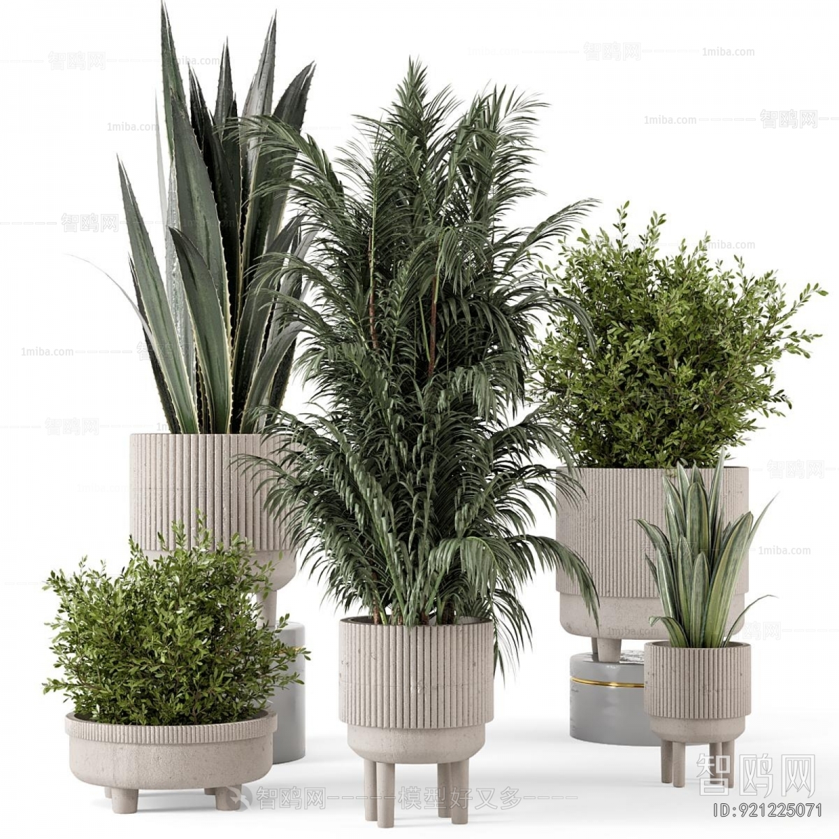 Modern Ground Green Plant Potted Plants