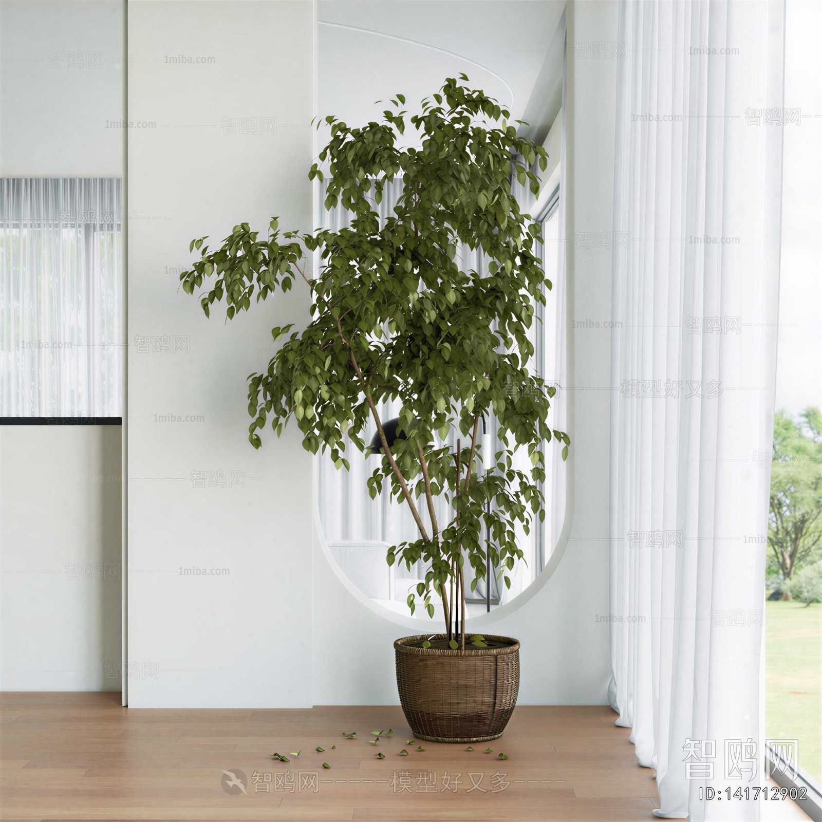 Modern Ground Green Plant Potted Plants