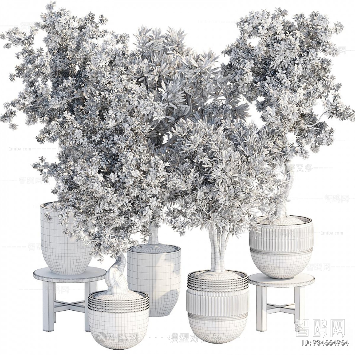 Modern Ground Green Plant Potted Plants