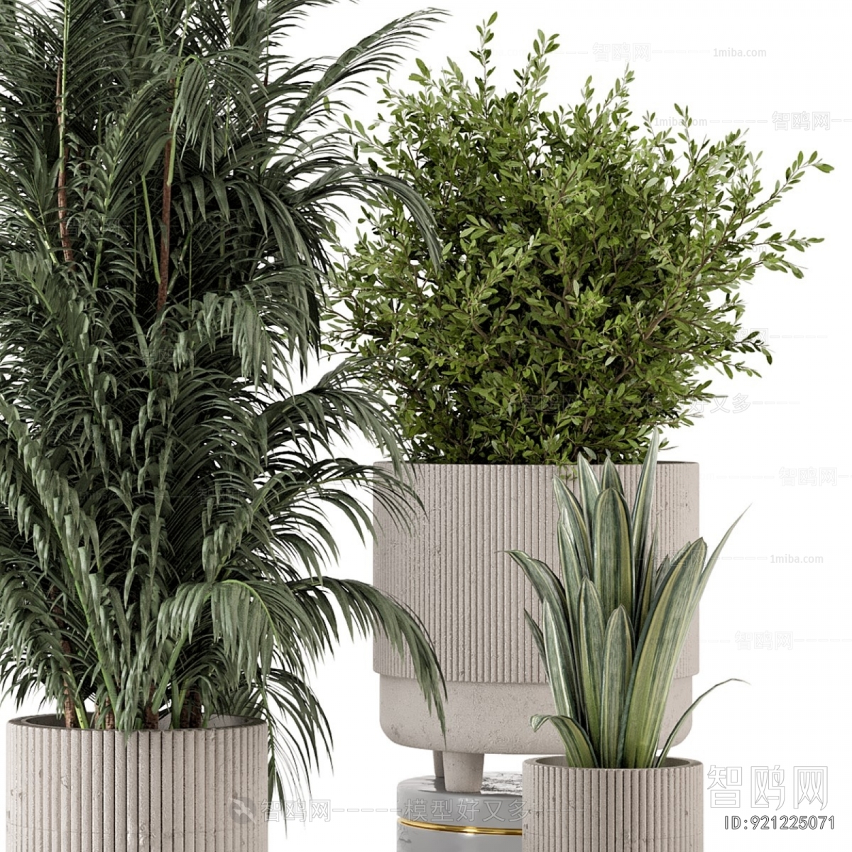 Modern Ground Green Plant Potted Plants
