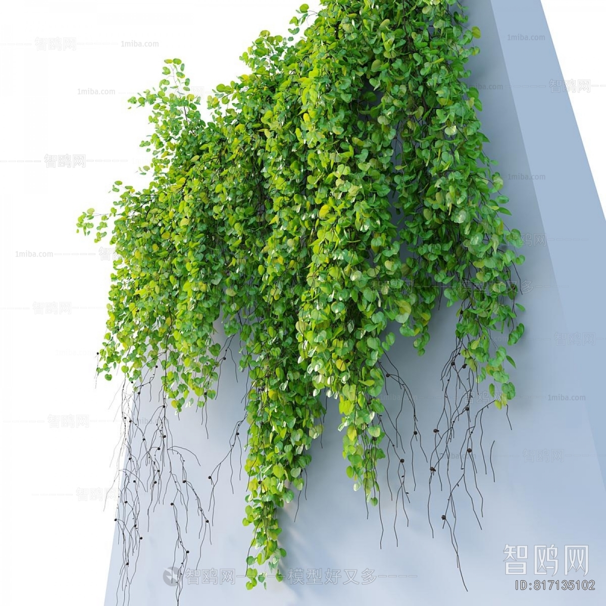 Modern Vine