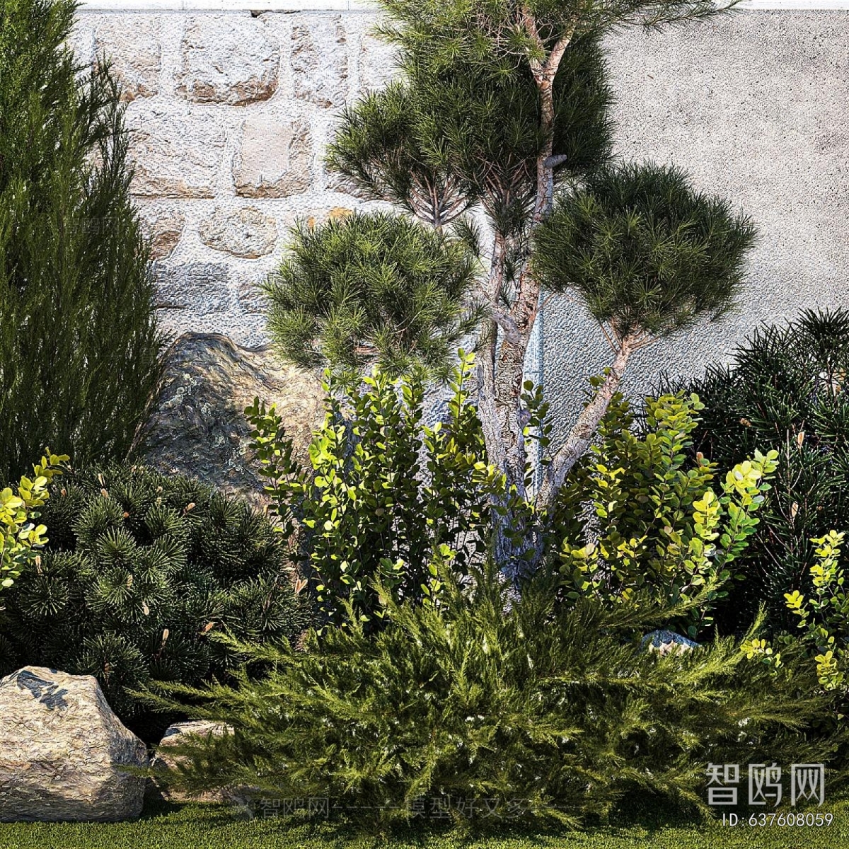 Modern Shrubbery