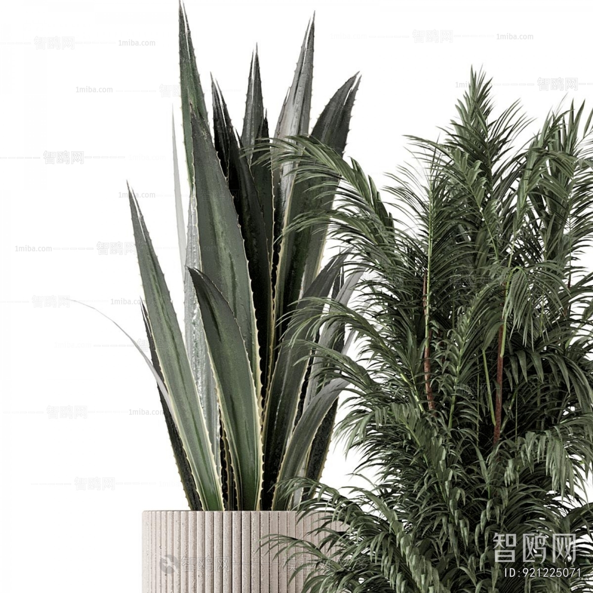 Modern Ground Green Plant Potted Plants