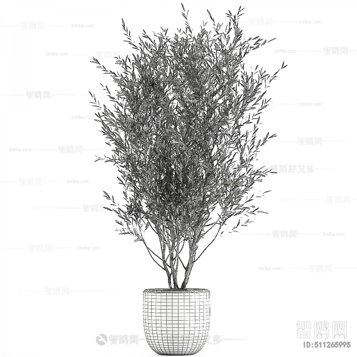 Modern Ground Green Plant Potted Plants