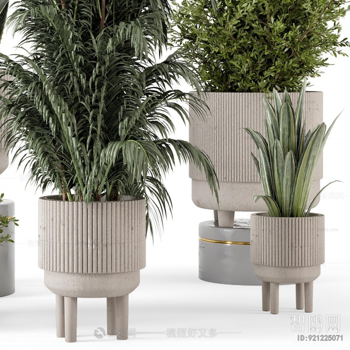 Modern Ground Green Plant Potted Plants