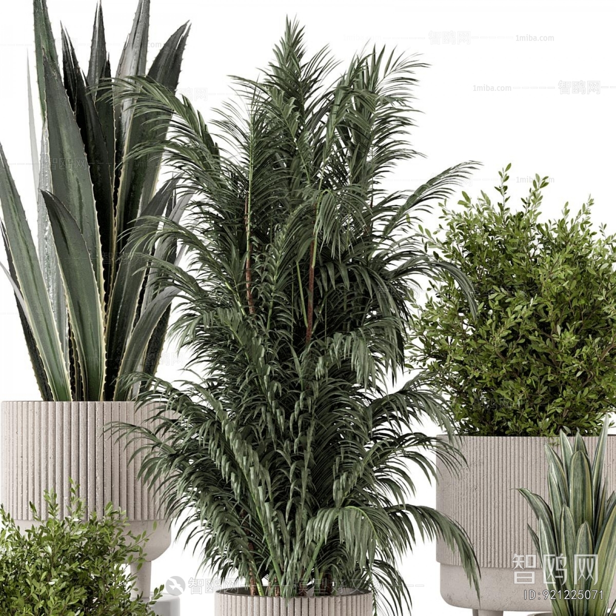 Modern Ground Green Plant Potted Plants
