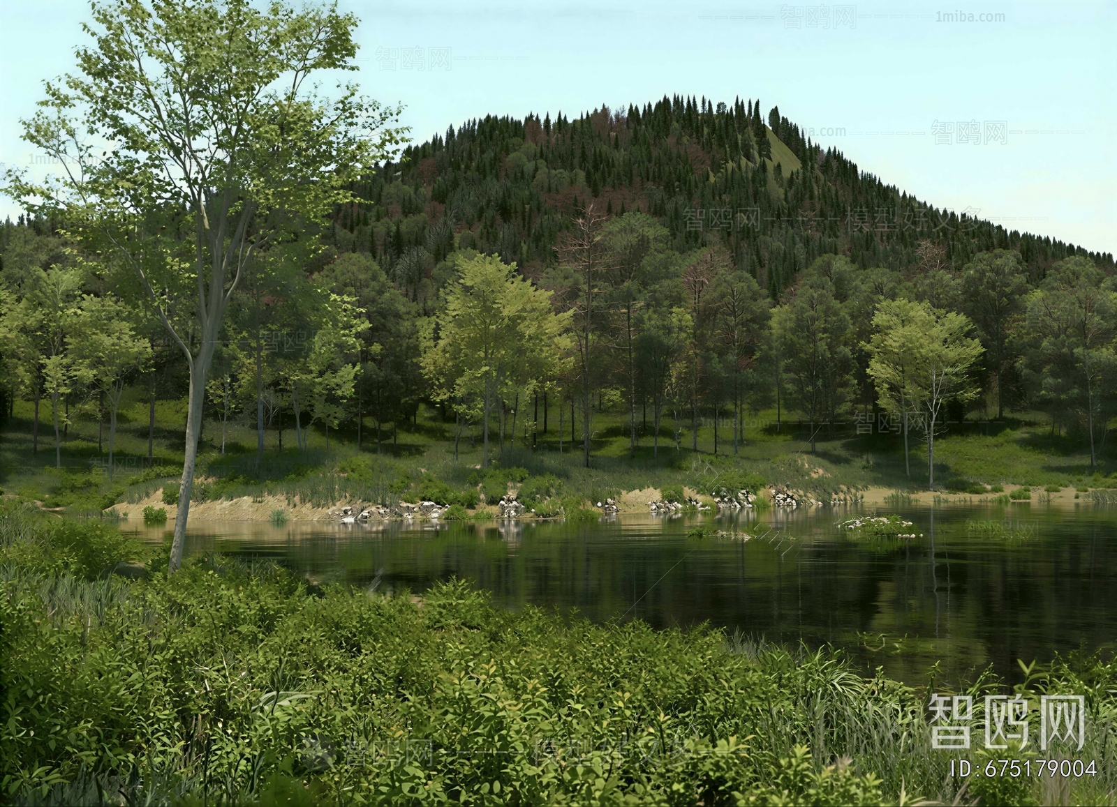 Modern Landscape