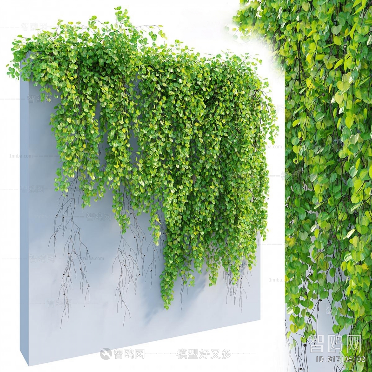 Modern Vine